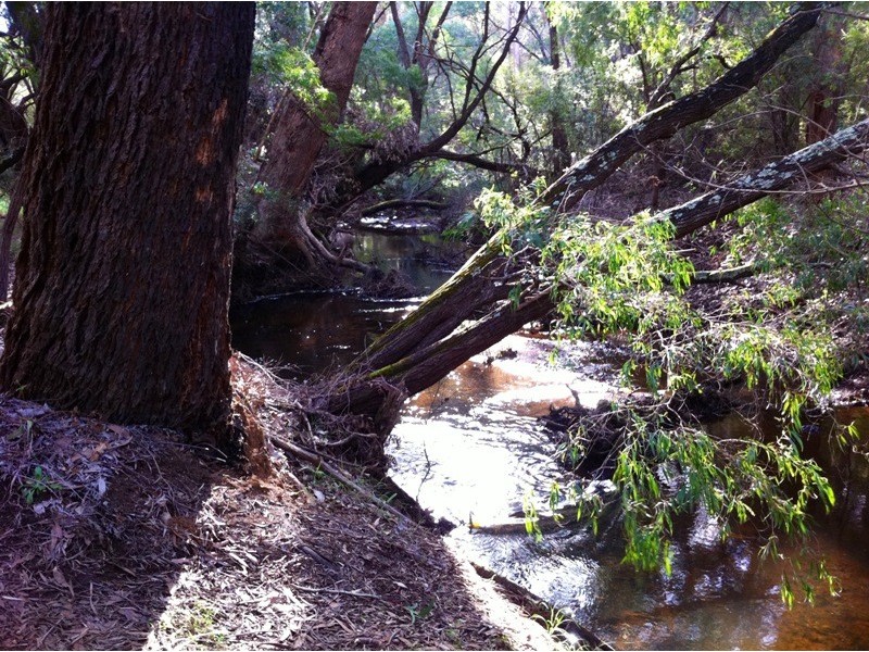 Lot 110,  Caves Road, Gracetown WA 6284