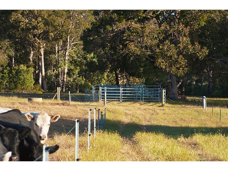 100 Hoey Road, Bramley WA 6285