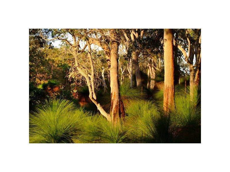 Lot 209, 27 Bronzewing Road, Quedjinup WA 6281