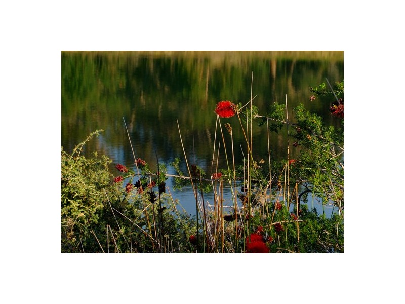 Lot 209, 27 Bronzewing Road, Quedjinup WA 6281