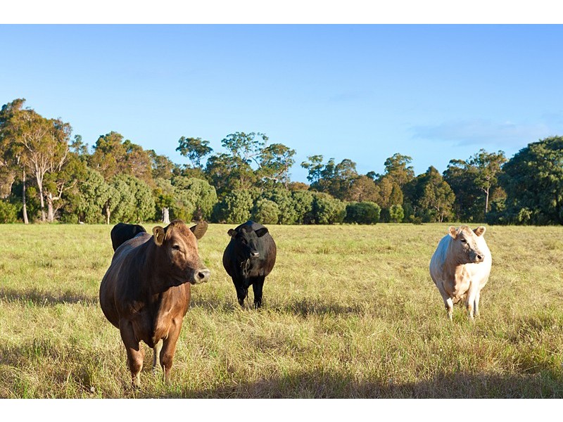 Lot 2940, 100 Hoey Road, Bramley WA 6285