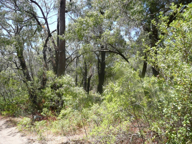 Lot 3 Woodarburrup Road, Scott River East WA 6275
