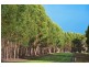 Lot 1732,  Tanah Marah Road, Cowaramup WA 6284