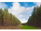 Lot 1732,  Tanah Marah Road, Cowaramup WA 6284