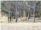 Lot 1B,  Fifty One Road, Cowaramup WA 6284