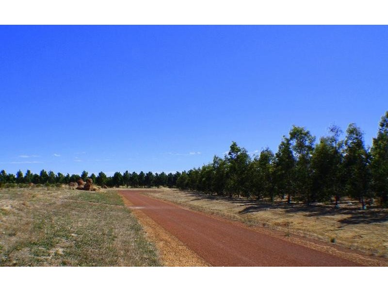 12/3599 Caves Road, Wilyabrup WA 6280