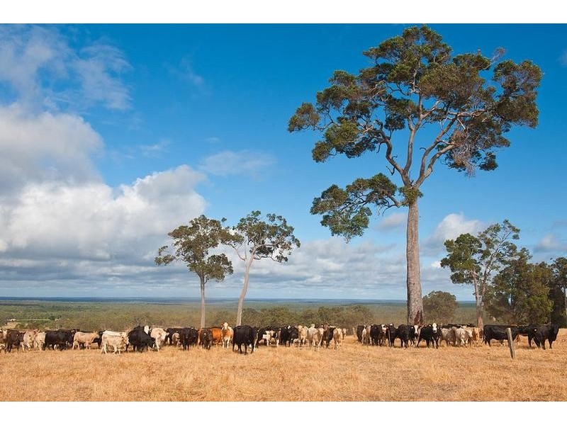 P/L 906 Credence Ridge Road, Cundinup WA 6275