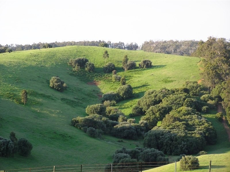 Lot 120 Lennard Road, Henty WA 6236