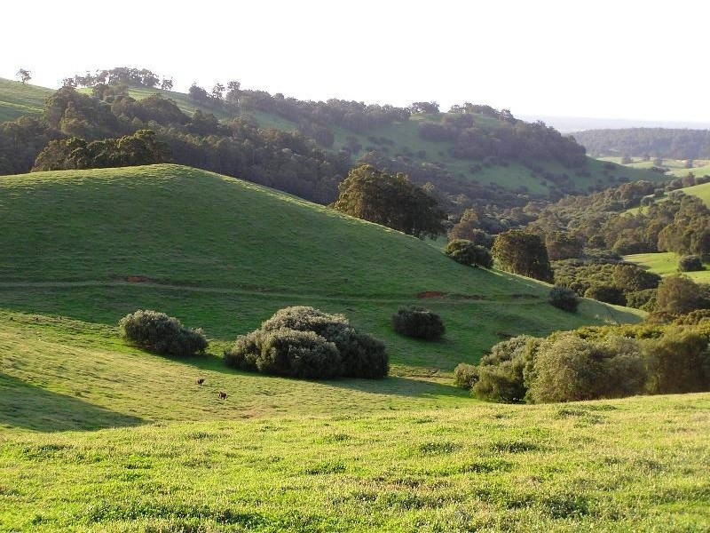 Lot 120 Lennard Road, Henty WA 6236