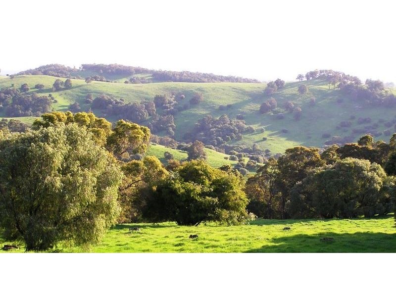 Lot 120 Lennard Road, Henty WA 6236