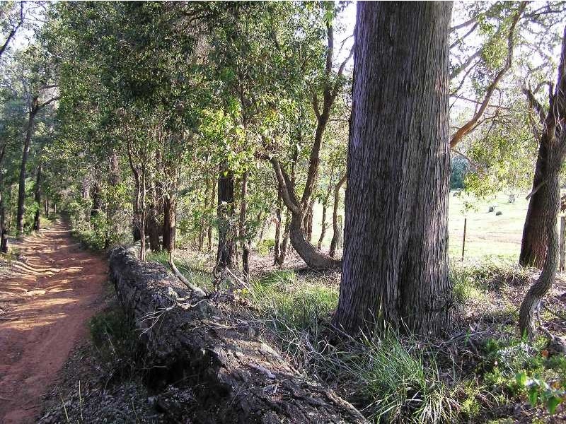 Lot 120 Lennard Road, Henty WA 6236