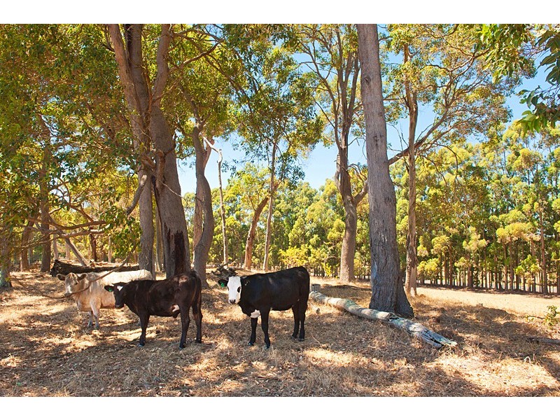 745 Osmington Road, Bramley WA 6285