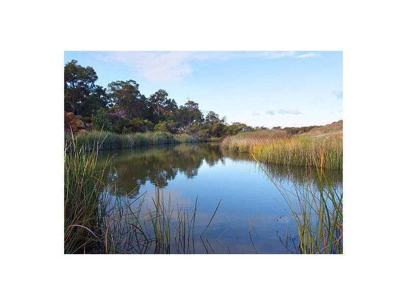 713 Gale Road, Kaloorup WA 6280