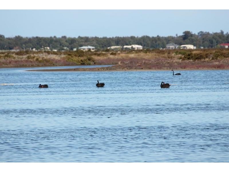 110 Tall Tree Crescent, Reinscourt WA 6280