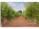 14 Brushwood Brook Drive, Yallingup WA 6282