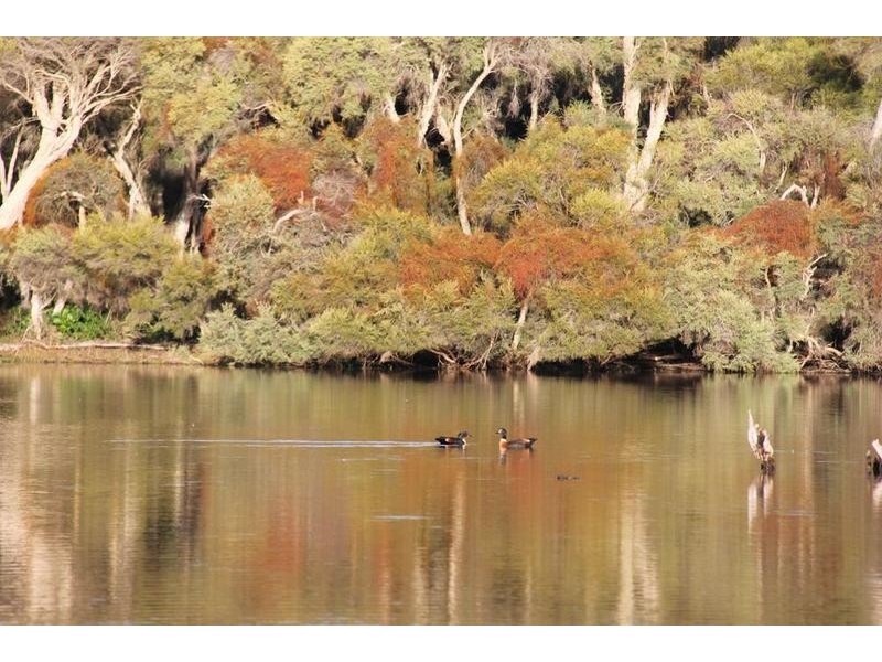 369 Tuart Drive, Ludlow WA 6280