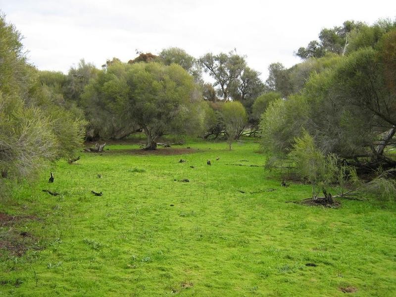 369 Tuart Drive, Ludlow WA 6280