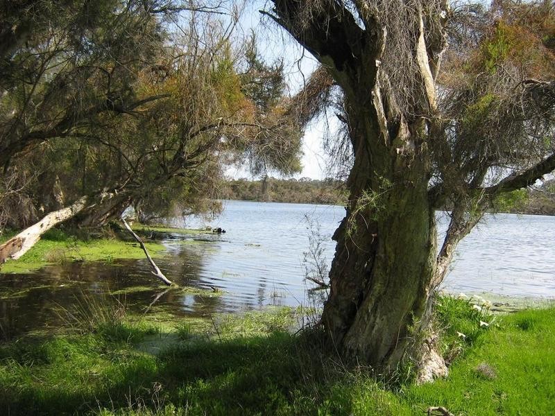 369 Tuart Drive, Ludlow WA 6280