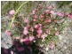 Lot 921 Woodaburrup Road, Scott River East WA 6275
