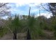 Lot 921 Woodaburrup Road, Scott River East WA 6275