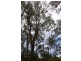 Lot 921 Woodaburrup Road, Scott River East WA 6275