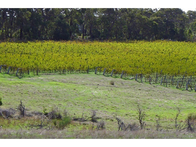 2807 Caves Road, Yallingup WA 6282