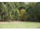 Lot 12 Ashton Street, Margaret River WA 6285