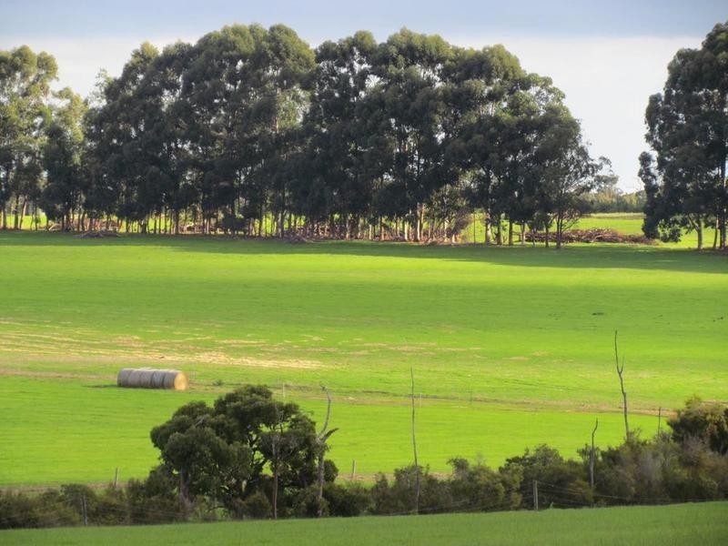 Lot 3003 Chapman Hill Road, Chapman Hill WA 6280