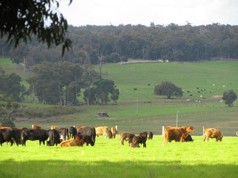 Lot 3003 Chapman Hill Road, Chapman Hill WA 6280