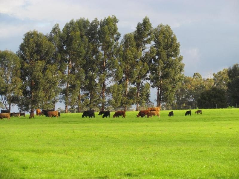 Lot 3003 Chapman Hill Road, Chapman Hill WA 6280