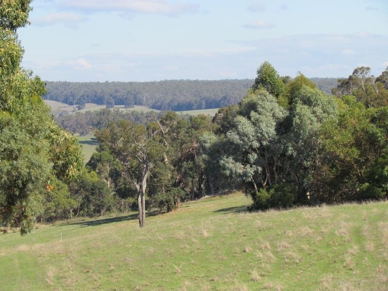 3849 Donnybrook-Boyup Brook Road, Noggerup WA 6225