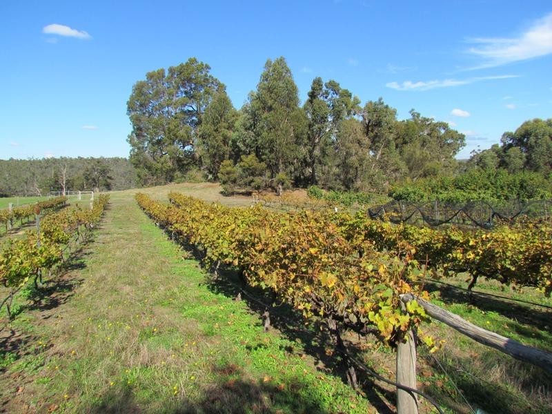 3849 Donnybrook-Boyup Brook Road, Noggerup WA 6225