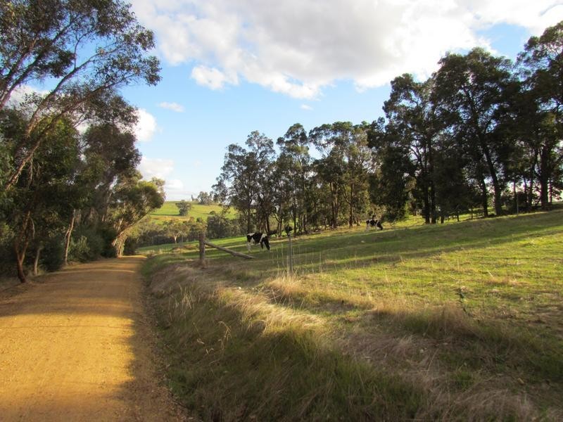 3849 Donnybrook-Boyup Brook Road, Noggerup WA 6225