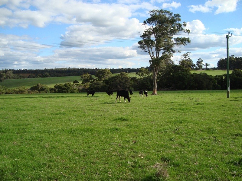 Lot 12 Rosa Glen Road, Rosa Glen WA 6285