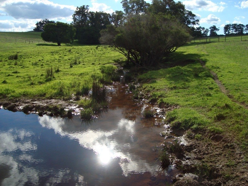 Lot 12 Rosa Glen Road, Rosa Glen WA 6285