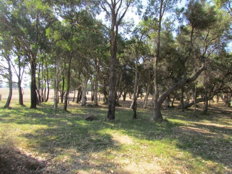 105 St Andrews Lane, Ambergate WA 6280