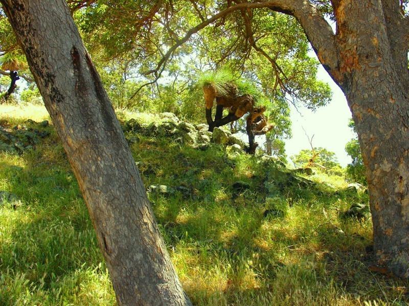 Lot 150 Catalano Road, Burekup WA 6227