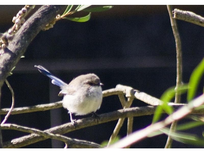 185 Boodjidup Road, Margaret River WA 6285