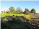 Lot 1419 Ludlow Hithergreen Road, Ludlow WA 6280