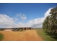 814 Layman Road, Wonnerup WA 6280