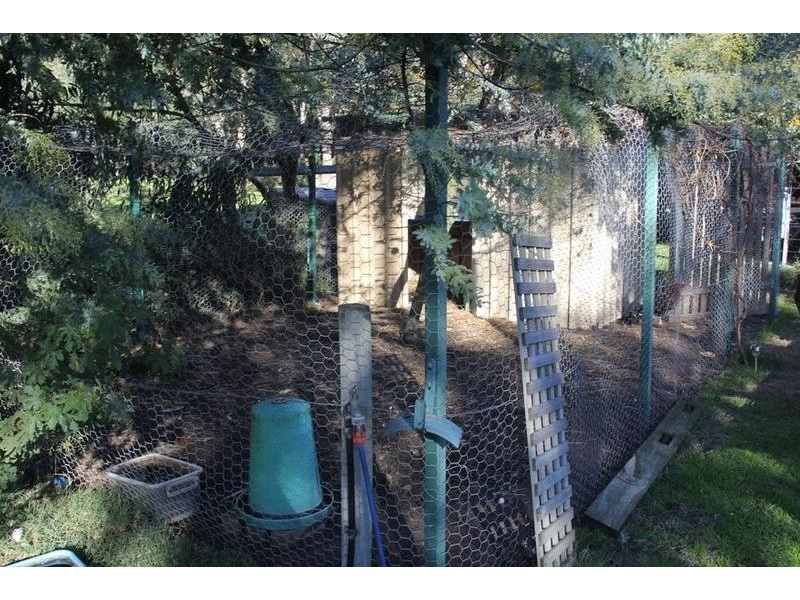 15 Whitemoss Drive, Vasse WA 6280