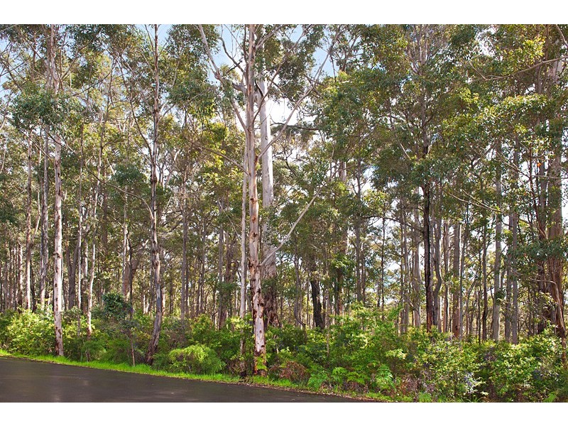 19 Barrett Street, Margaret River WA 6285