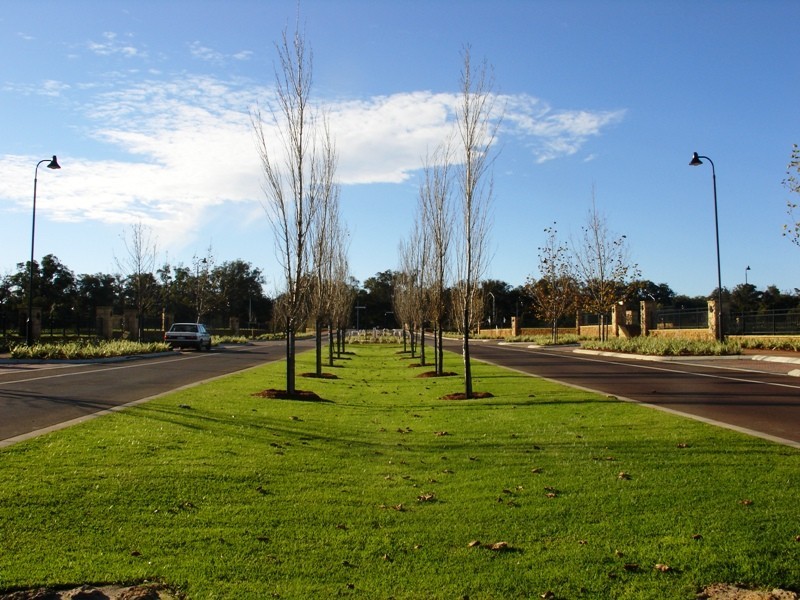 3 Harrow Terrace, Vasse WA 6280