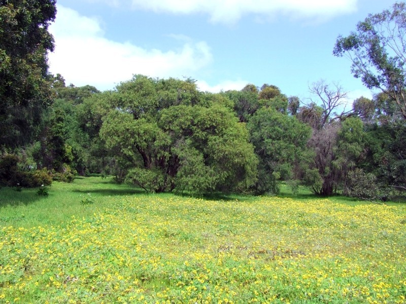 Lot 9,  Koorabin Drive, Yallingup WA 6282