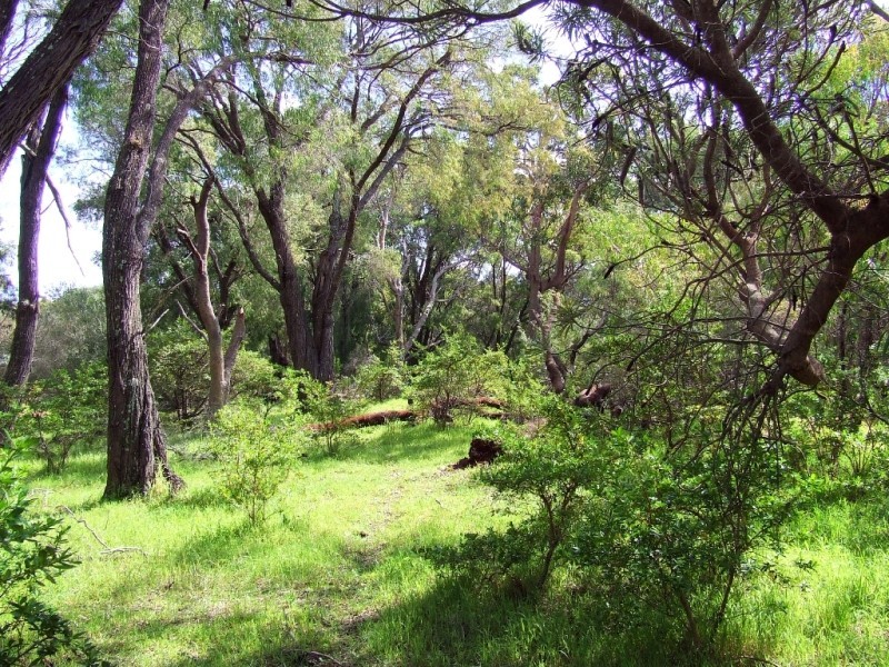 Lot 9,  Koorabin Drive, Yallingup WA 6282