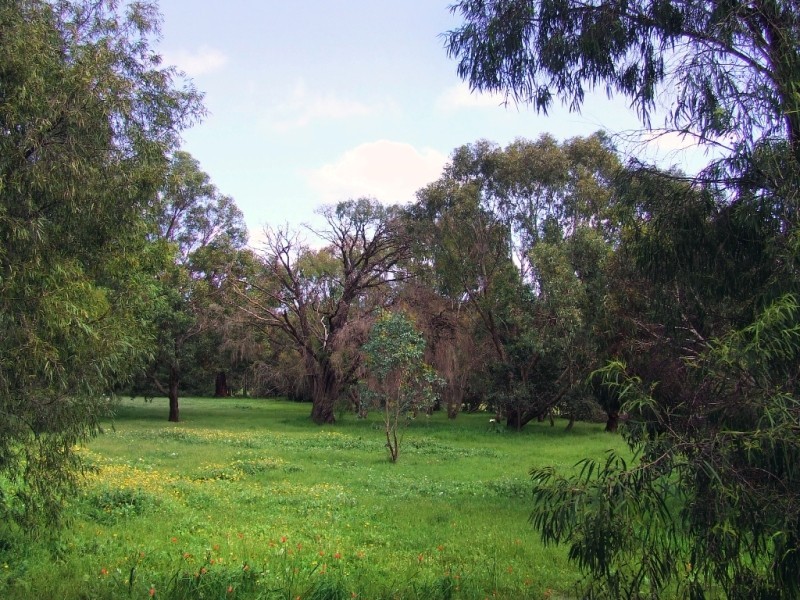 Lot 9,  Koorabin Drive, Yallingup WA 6282