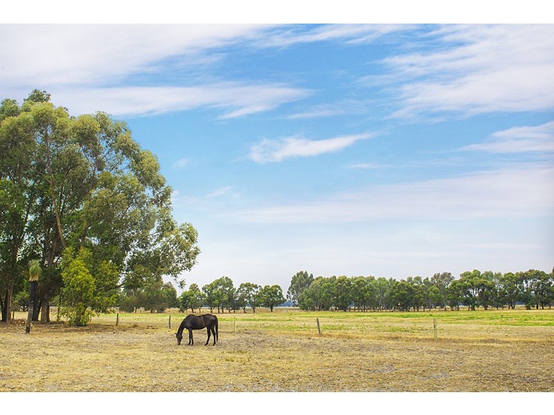 Yoongarillup WA 6280