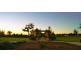 10 Baler Drive, Vasse WA 6280