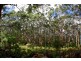 9331 Caves Road, Karridale WA 6288