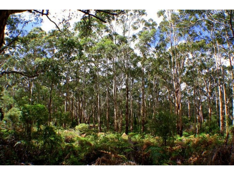 9331 Caves Road, Karridale WA 6288